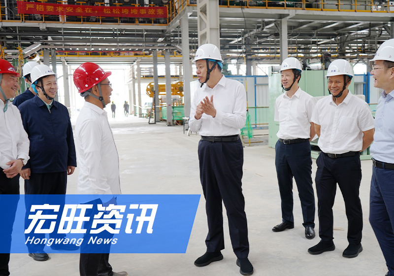 廣西壯族自治區黨委常委、自治區常務副主席許永錁一行蒞臨廣西宏旺調研